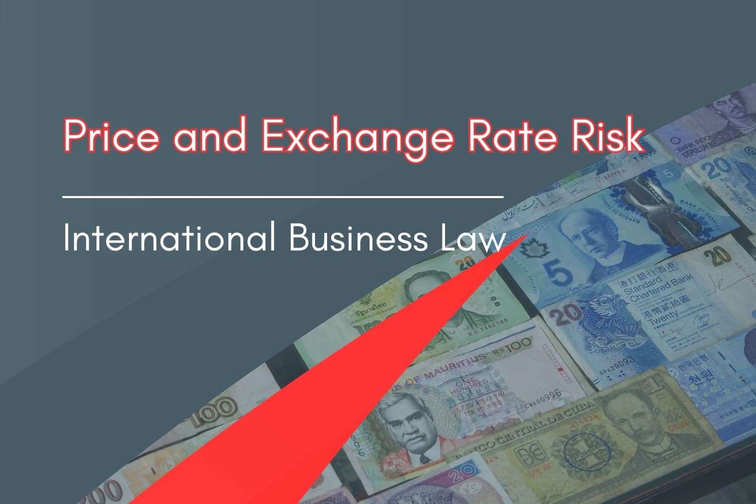How are Price and Exchange Rate Risk managed in an international business contract?
