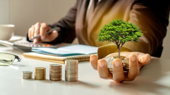 An Introduction to Green Finance and Ethical Investment