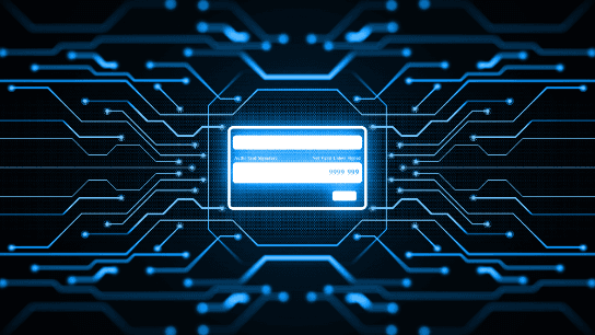 Fraud Trends for the Future – Digital Payments Fraud