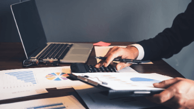 Global IIA Standards Domain V: Part 1 - Principle 13
